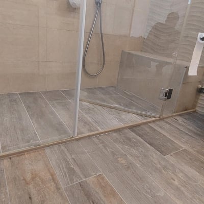 מקלחון זכוכית עם ראש מקלחת, שירותים תלויים