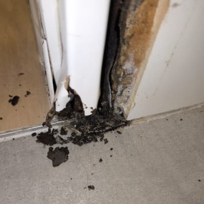 נזקי רטיבות ועובש בפינת קיר