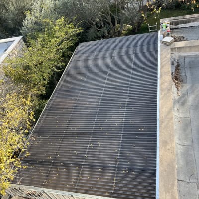 גג עץ עם עלים בסביבה ירוקה