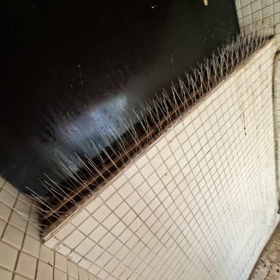 הרחקת יונים