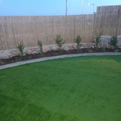 דשא ירוק, שיחים קטנים וגדר במבוק