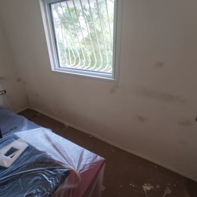 קיר עם תיקוני צבע, רהיטים מכוסים בניילון