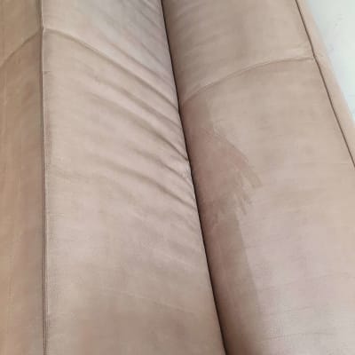 הספה עדיין רטובה מחד לאחר הניקוי אך כמו חדשה