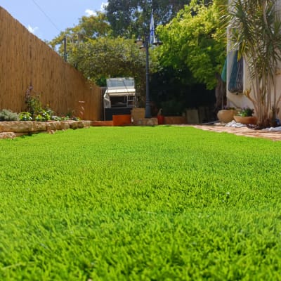 דשא ירוק, עציצים, חממה, גדר עץ