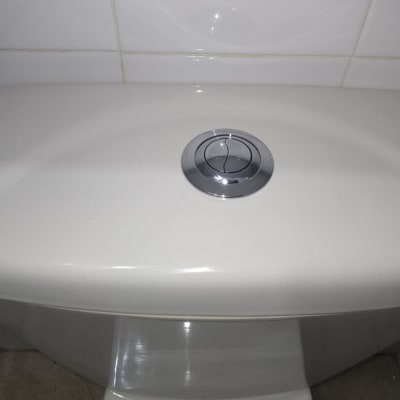 מיכל הדחה עם כפתור כרום עגול