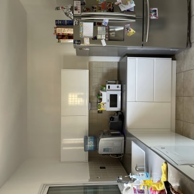 מטבח עם מקרר, מיקרוגל, כיור ומוצרי ניקוי על השיש