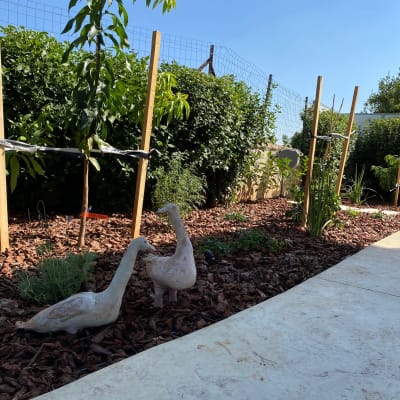 תיקון מערכת השקיה לגינה | תקלות נפוצות במערכת השקייה לגינה – במידרג