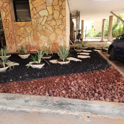 עציצים עם צמחים קטנים על חצץ צבעוני