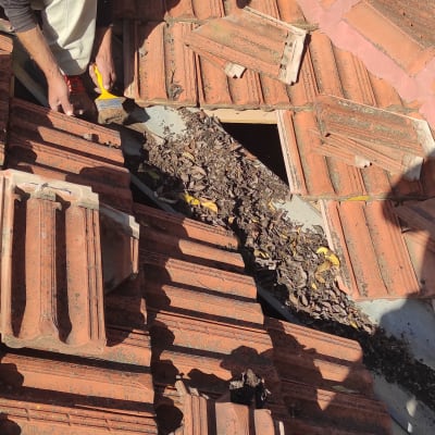 אדם מנקה עלים מגג רעפים אדום