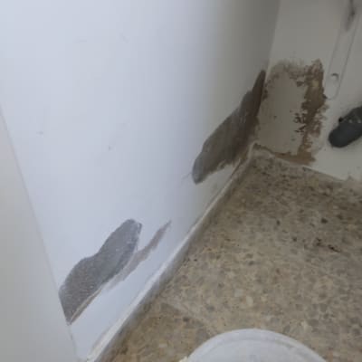 קיר עם קילופי צבע ודלי צבע על הרצפה