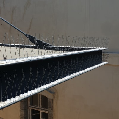 דוקרנים למניעת יונים על קורה מתכתית