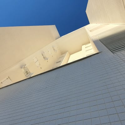 בניין גבוה עם רשתות למניעת יונים