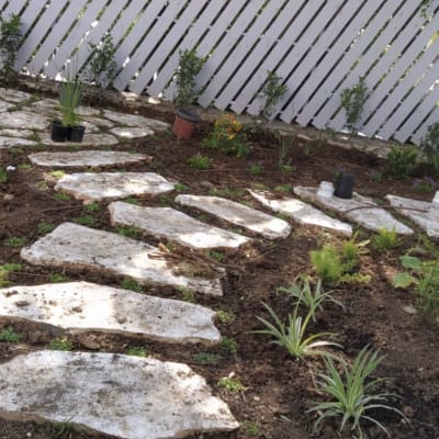 אבנים משתלבות בגינה עם צמחים ושתילים באדמה