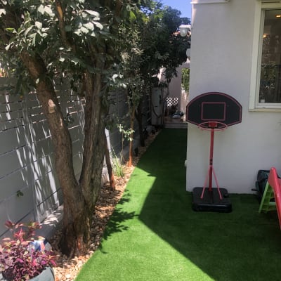 עצים ודשא מלאכותי בגינה קטנה