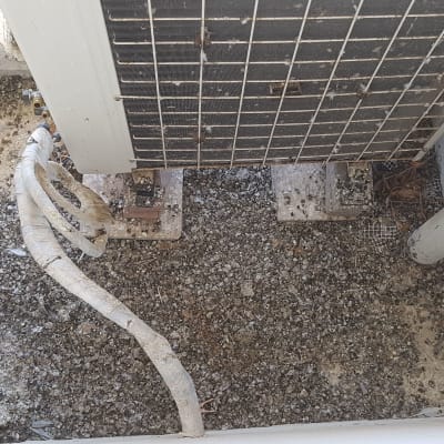 לפני ניקיון