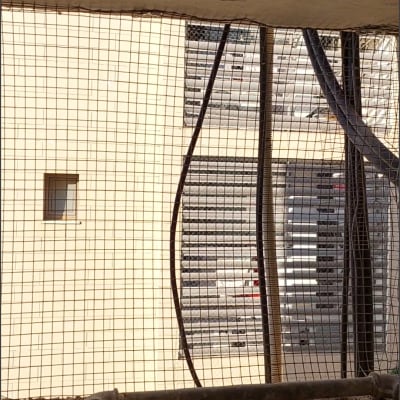 רשת מתכת מותקנת על חלון למניעת כניסת יונים