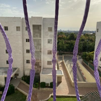 סורגים סגולים עם עיטורים על רקע נוף עירוני