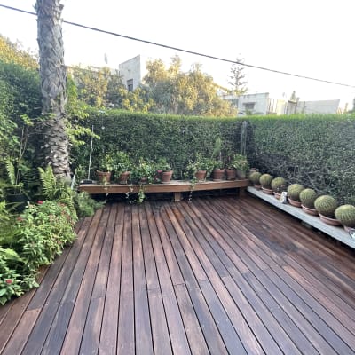 עציצים על דק עץ בגינה עם קקטוסים וצמחים ירוקים