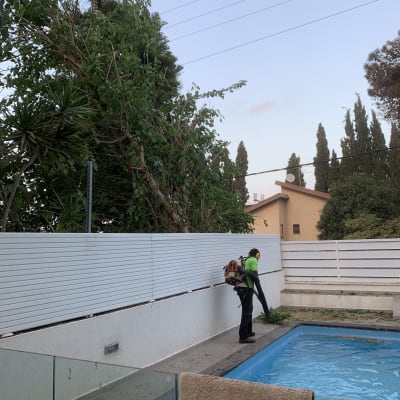 אדם גוזם עצים ליד בריכה עם מפוח עלים