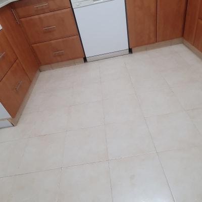 מטבח עם מדיח כלים וכיור