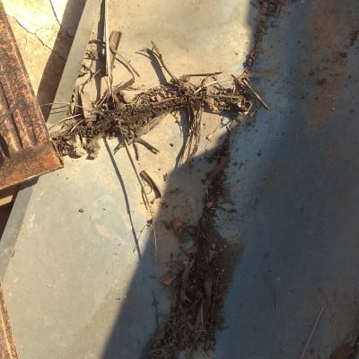 גג עם עלים יבשים ופסולת