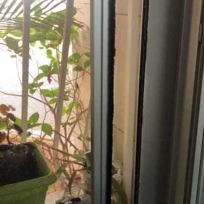 מסגרת אלומיניום של חלון עם רשת שקופה