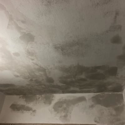 תקרה עם כתמי צבע כהים לאחר צביעה