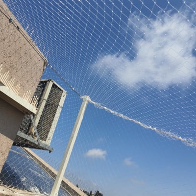 רשת למניעת יונים על גג עם דוקרנים