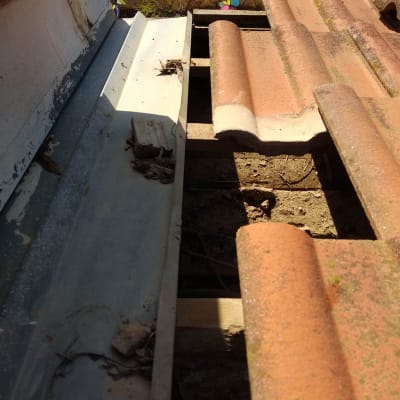 רעפים חומים על גג עם קרשים חשופים