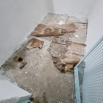 רצפה עם קרטון קרוע וכתמי צבע לבן