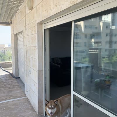 דלת זכוכית נפתחת עם מסגרת אטימה