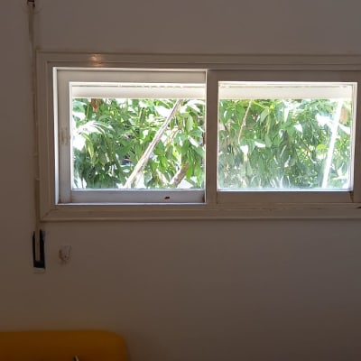 חלון זכוכית עם נוף עלים ירוקים מבחוץ