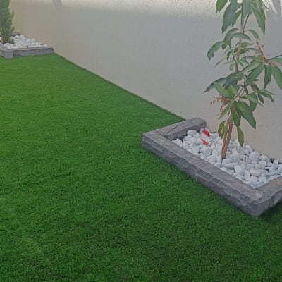 עץ קטן באדנית עם אבנים לבנות על דשא ירוק