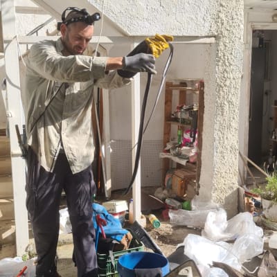 אדם עם כפפות מחזיק נחש שחור ארוך