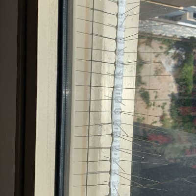 מחסום דוקרנים על אדן חלון למניעת יונים