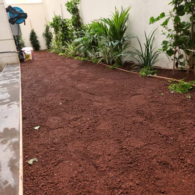 אדמה חומה עם צמחים ירוקים ודלי השקיה