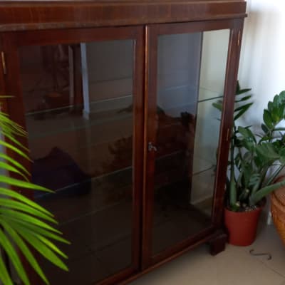 ארון עץ עם דלתות זכוכית שקופות
