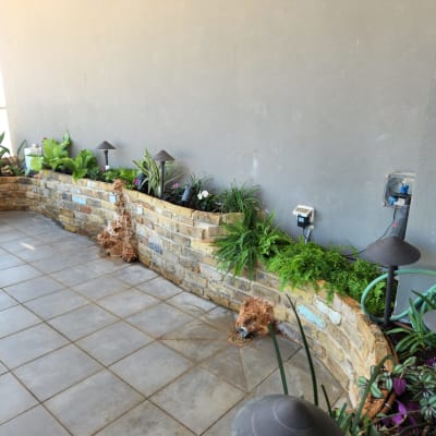 ערוגת צמחים עם תאורה וכלי גינון