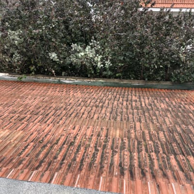 גג רעפים אדום עם סימני לכלוך וטחב