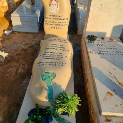 מצבה עם כיתוב ותמונה, קישוטי זכוכית וצמחים