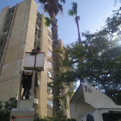 A worker in a lift trimming palm trees near a building.