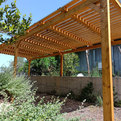 פרגולה מעץ בגינה עם צמחייה מסביב
