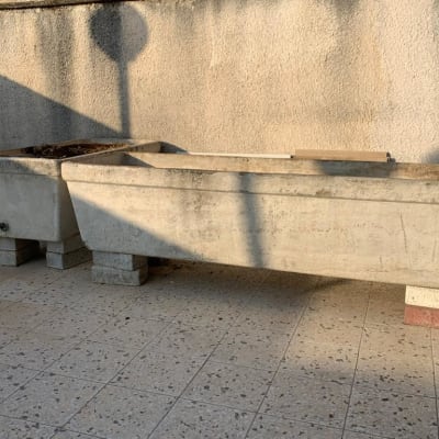 שני אדניות בטון על גג מרוצף