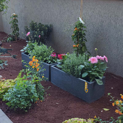 עציצים עם פרחים צבעוניים בגינה קטנה