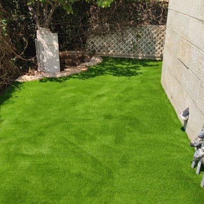 דשא סינתטי, ברזים על קיר, עץ קטן בגינה