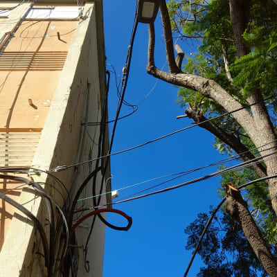 ענפי עץ גזומים ליד כבלים חשמליים