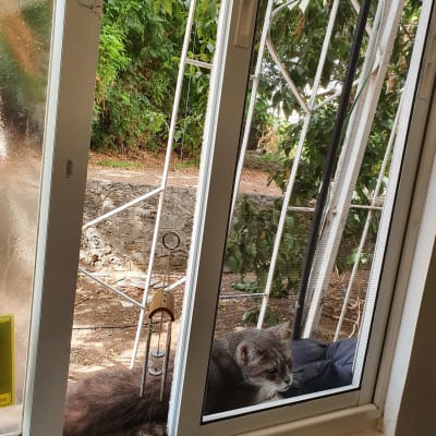 חלון אלומיניום פתוח עם סורגי מתכת