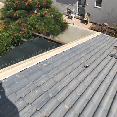 גג רעפים אפור עם קוצים למניעת ציפורים