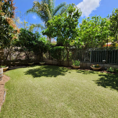 דשא ירוק עם עצים ושיחים מסביב לגינה