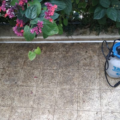 מרסס ידני על רצפה מרוצפת עם קו איטום לבן